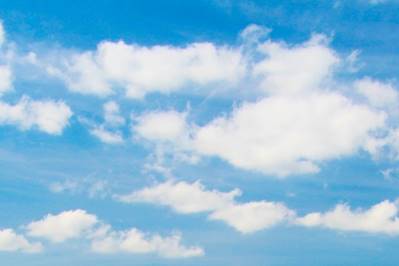 Terms and Conditions