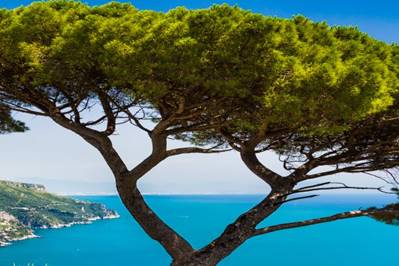 December Travel to Capri